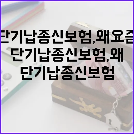 단기납종신보험, 왜 요즘 인기일까? - 요약