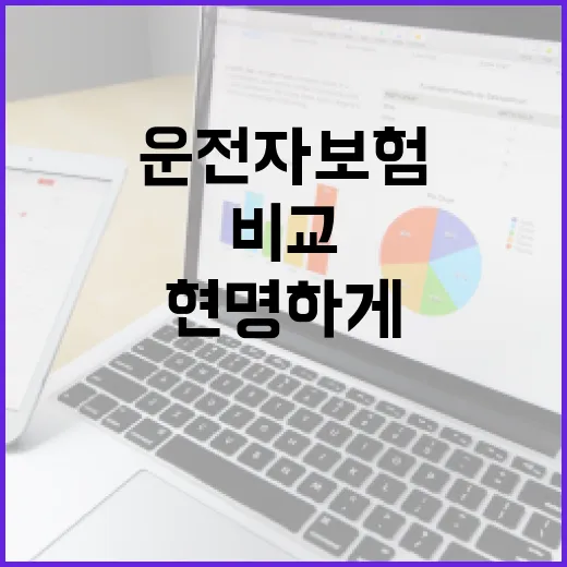 운전자보험, 현명하게 비교하는 방법 - 요약