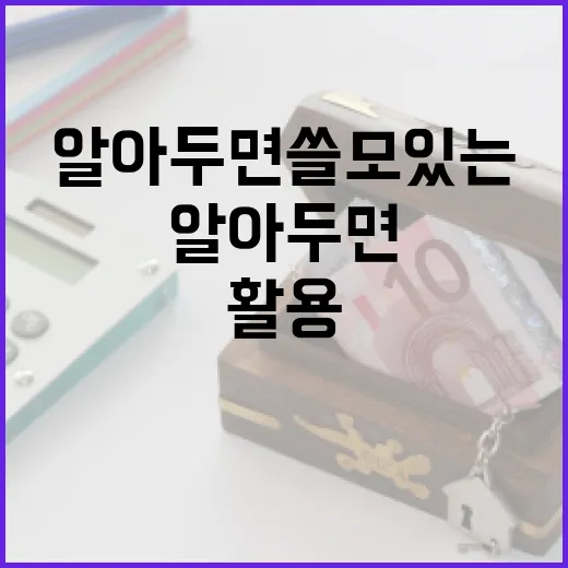 비과세저축보험 활용하기: 알아두면 쓸모 있는 팁 - 요약