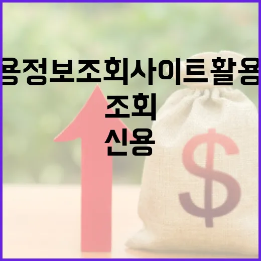 신용정보조회사이트 활용법: 제대로 알고 이용하자 - 요약