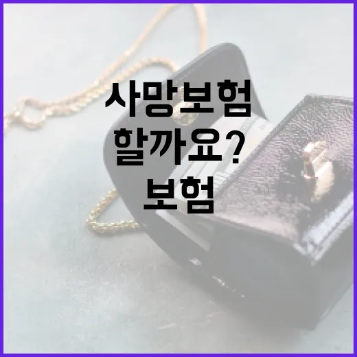 사망보험, 어떻게 선택해야 할까요? - 요약