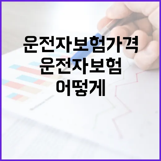 운전자보험 가격, 어떻게 결정되나? - 요약