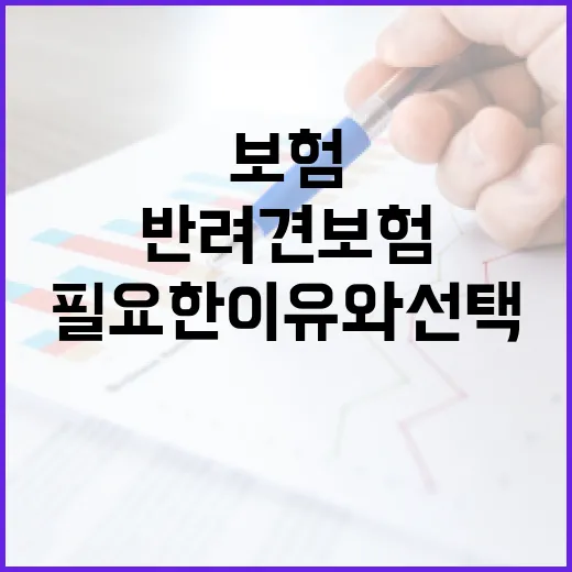 반려견보험, 꼭 필요한 이유와 선택 방법 - 요약
