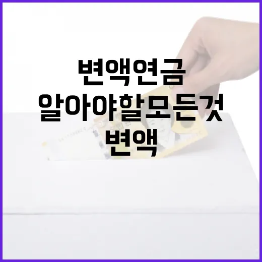 변액연금에 대해 알아야 할 모든 것 - 요약