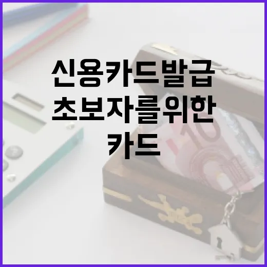 신용카드 발급, 초보자를 위한 모든 것 - 요약
