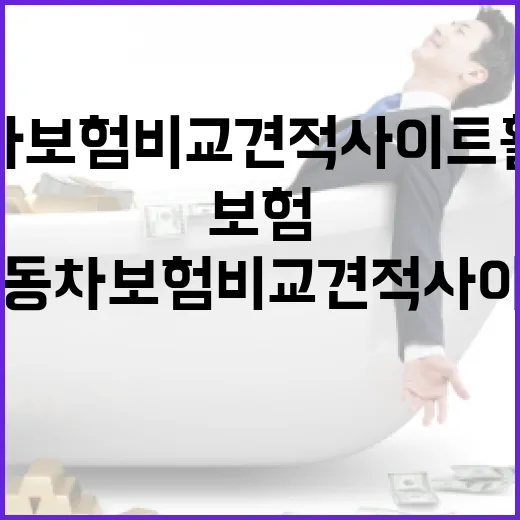 자동차보험비교견적사이트 활용법: 쉽게 시작하는 방법 - 요약