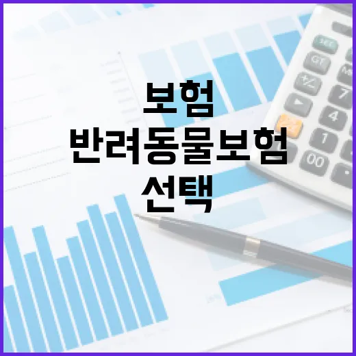 반려동물 보험, 어떻게 선택할까? - 요약