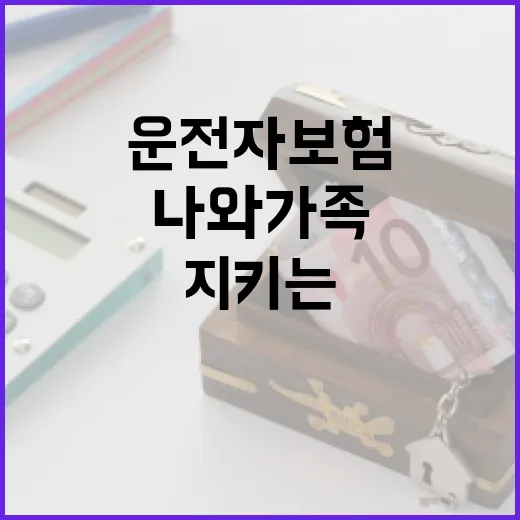 운전자보험으로 지키는 나와 가족의 안전 - 요약