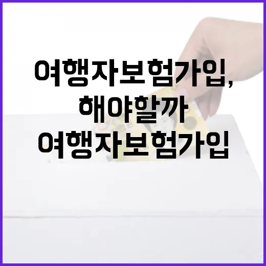 여행자보험 가입, 어떻게 해야 할까? - 요약
