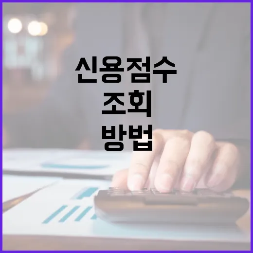 대출조회로 금리 낮추는 방법, 신용점수 걱정 줄이고 비교하려면 이렇게 - 요약