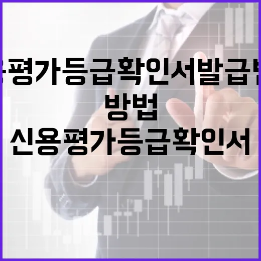 신용평가등급확인서 발급받는 방법, 처음 준비할 때 놓치기 쉬운 것들 - 요약