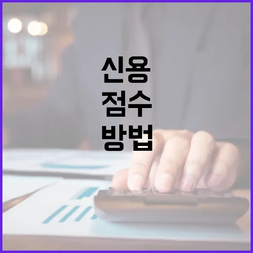 신용정보조회사이트 제대로 고르는 방법: 무료 조회부터 점수 관리까지 - 요약