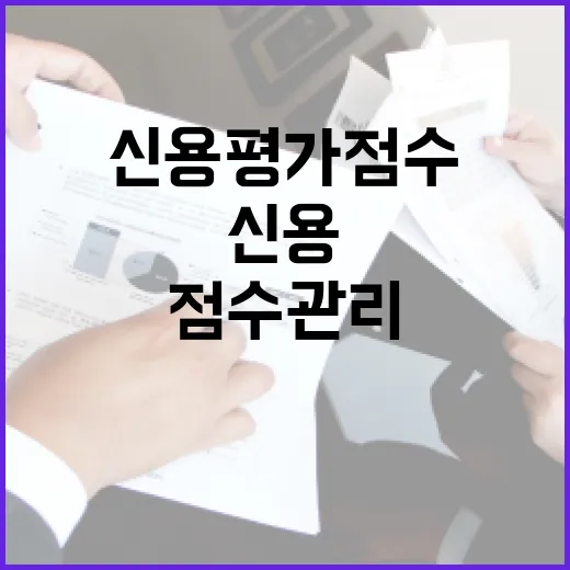신용평가 점수 관리하려면 이렇게 보는 게 먼저입니다 - 요약
