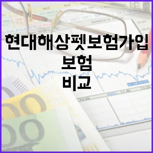 현대해상펫보험 가입하려면 이렇게 비교하세요 - 요약