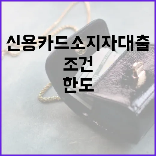 신용카드소지자대출 받기 전 조건과 한도 확인하는 방법 - 요약