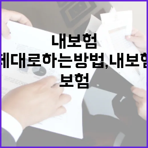 보험확인 제대로 하는 방법, 내 보험을 놓치지 않으려면 이렇게 보세요 - 요약
