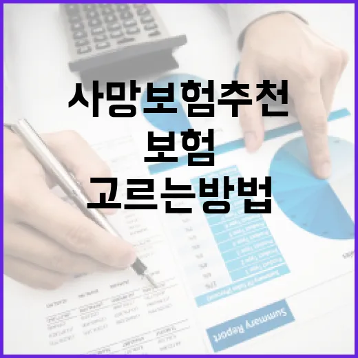 사망보험추천 받기 전, 내 상황에 맞게 고르는 방법 - 요약