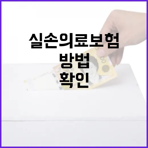 실손의료보험 제대로 고르는 방법: 세대별 차이와 가입 전 확인할 것 - 요약
