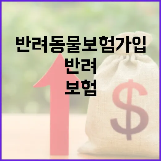 반려동물보험 가입하려면 이렇게 비교하면 됩니다 - 요약