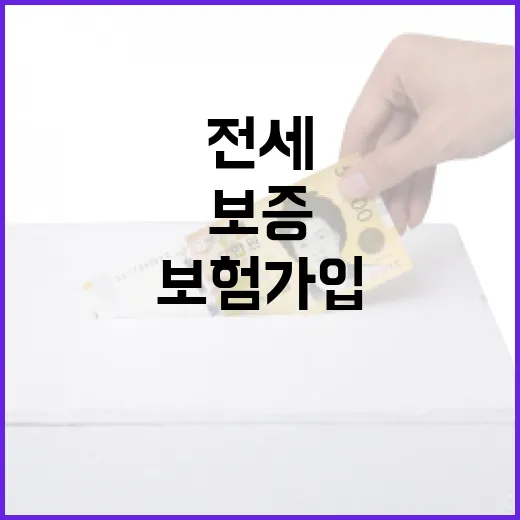 전세보험 가입하려면 이렇게 확인하세요: 보증기관 선택부터 비용 계산까지 - 요약