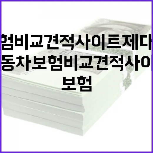 자동차보험비교견적사이트 제대로 활용하는 방법 - 요약