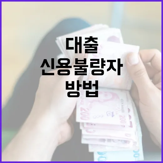 신용불량자대출 알아볼 때 합법 상품부터 확인하는 방법 - 요약