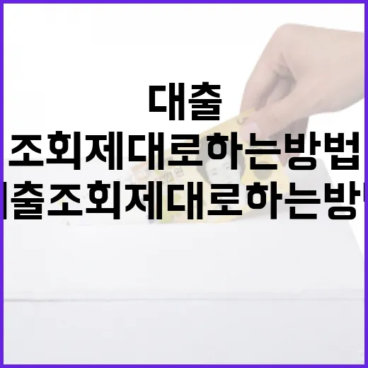 초보자를 위한 대출조회 제대로 하는 방법 - 요약