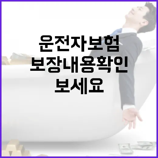운전자보험보장내용 확인하는 방법, 초보 운전자라면 이렇게 보세요 - 요약
