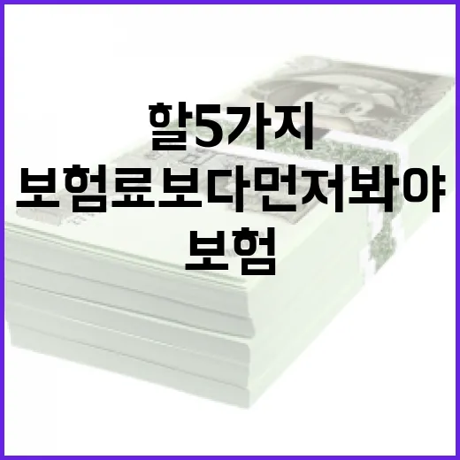 사망보험 제대로 고르는 방법: 보험료보다 먼저 봐야 할 5가지 - 요약