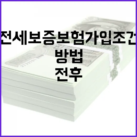 자동차다이렉트보험비교 제대로 하는 방법, 보험료만 보지 말고 이렇게 고르기 - 요약