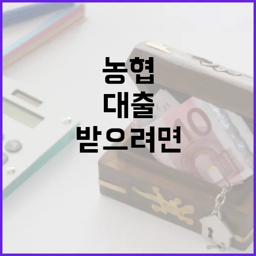 농협대출 받으려면 이렇게 비교하면 됩니다 - 요약
