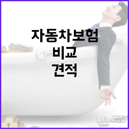 자동차보험비교사이트로 보험료 낮추는 방법: 견적 볼 때 놓치기 쉬운 기준 - 요약