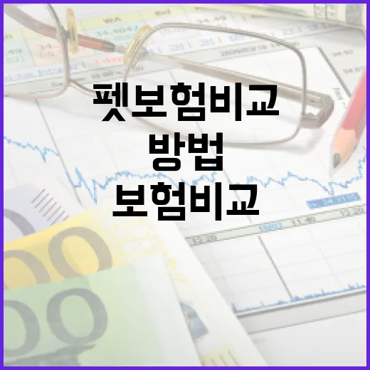 펫보험비교 제대로 하는 방법, 월보험료보다 먼저 볼 6가지 - 요약