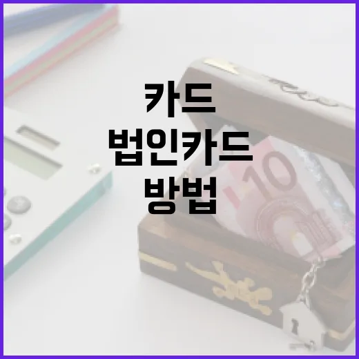 법인카드 제대로 쓰는 방법: 비용 인정부터 내부 통제까지 - 요약