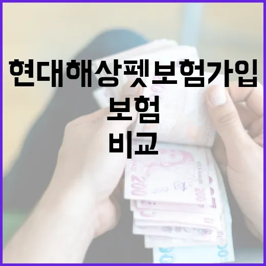 현대해상펫보험 가입하려면 이렇게 비교하세요 - 요약