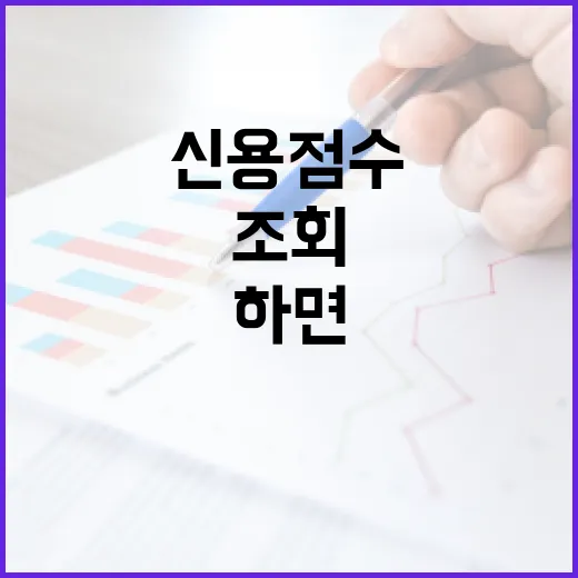 초보자를 위한 신용점수확인 방법, 조회부터 관리까지 이렇게 하면 됩니다 - 요약