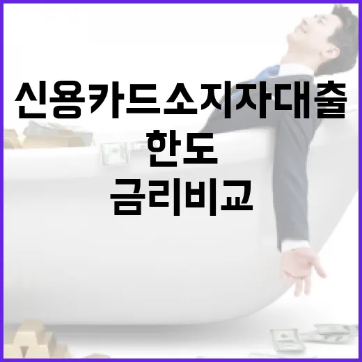 신용카드소지자대출 받기 전 한도와 금리 비교하는 방법 - 요약
