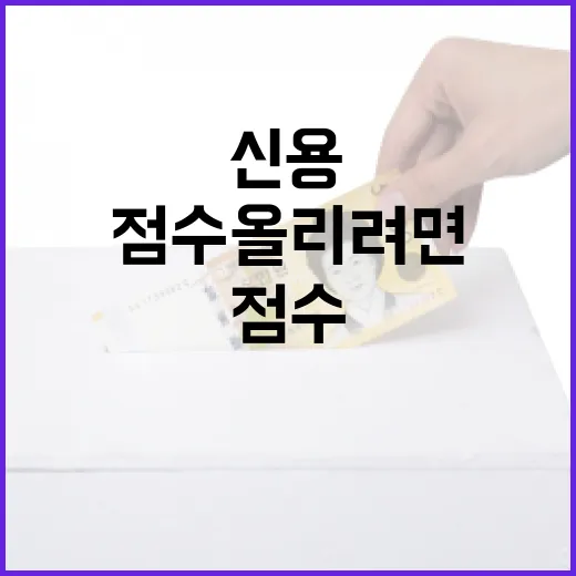 신용평가 점수 올리려면 이렇게 관리하면 됩니다 - 요약