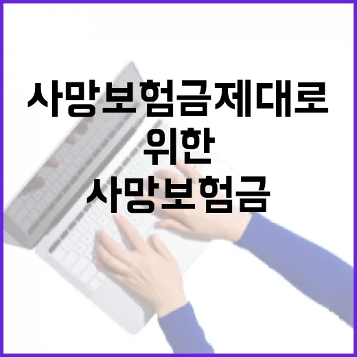 초보자를 위한 사망보험금 제대로 준비하는 방법 - 요약