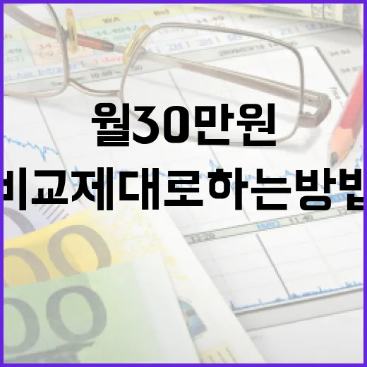 체크카드비교 제대로 하는 방법: 월 30만원 쓰는 사람부터 먼저 볼 기준 - 요약