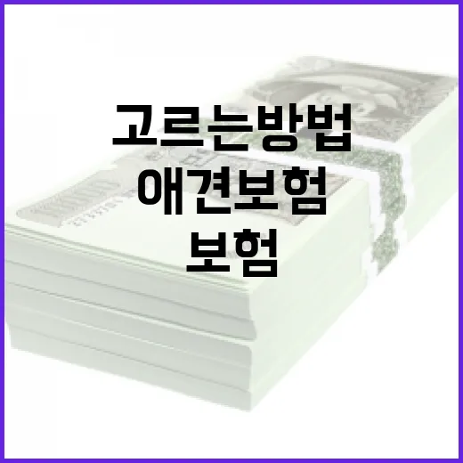 애견보험 고르는 방법, 보험료보다 먼저 봐야 할 기준 - 요약