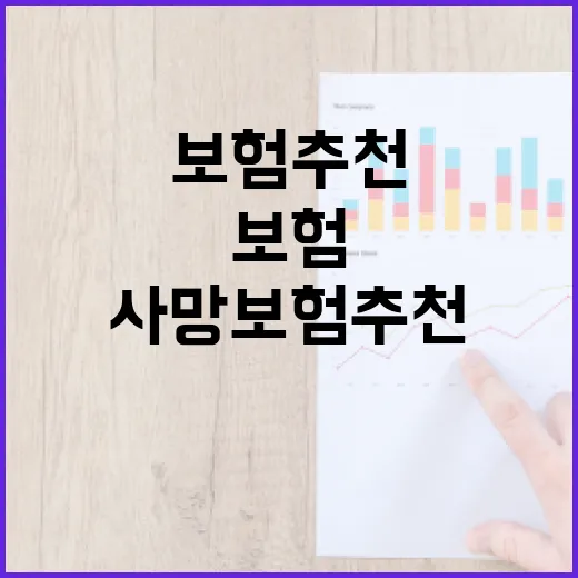 사망보험추천 제대로 받으려면 이렇게 고르면 됩니다 - 요약