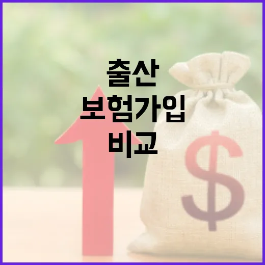 출산보험 가입하려면 이렇게 비교하면 됩니다 - 요약