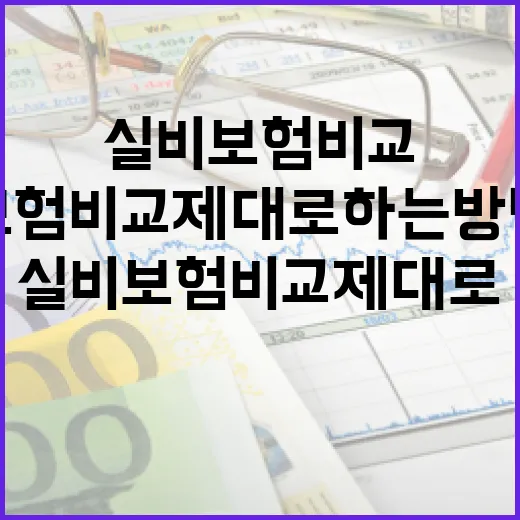 실비보험비교 제대로 하는 방법: 보험료보다 먼저 볼 5가지 - 요약