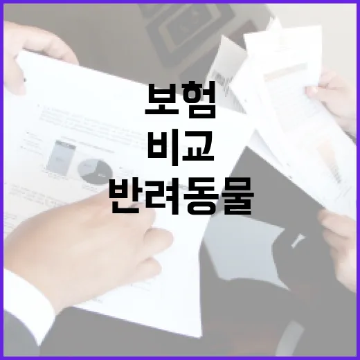 반려동물보험 고르는 방법, 병원비 부담 줄이려면 이렇게 비교하세요 - 요약
