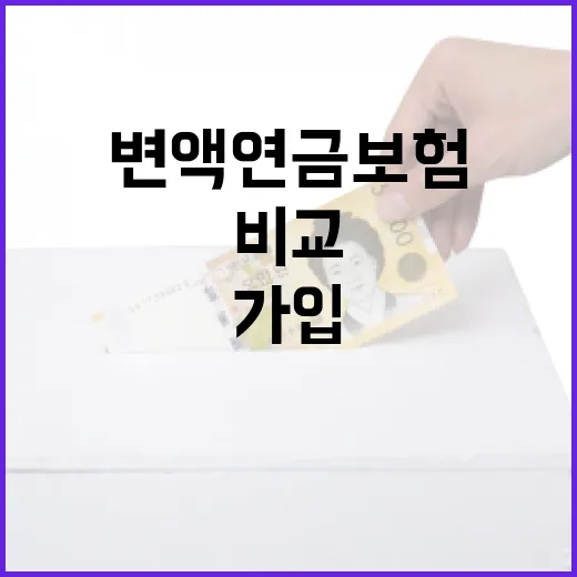 변액연금보험 가입하려면 이렇게 비교하는 방법 - 요약
