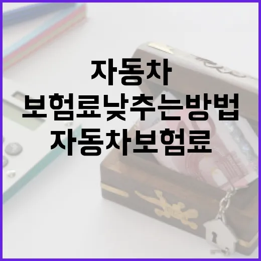 초보자를 위한 자동차보험료 낮추는 방법 - 요약