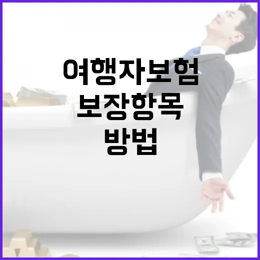 초보자를 위한 여행자보험 고르는 방법: 보장 항목부터 청구까지 이렇게 준비하세요 - 요약