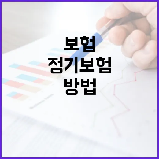 정기보험으로 사망보장 준비하는 방법: 보험료 줄이고 필요한 기간만 남기는 기준 - 요약