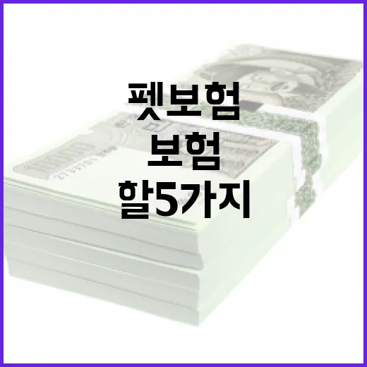 펫보험 제대로 고르는 방법: 보험료보다 먼저 봐야 할 5가지 - 요약